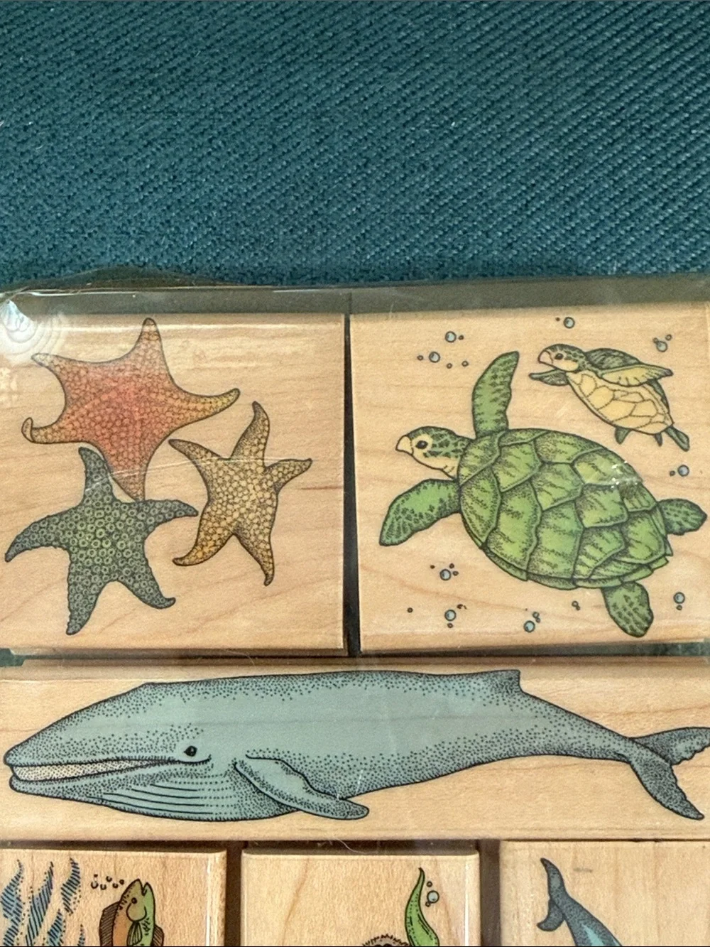 Hero Arts Ocean Animals Wooden Rubber Stamp Set — Whale, Turtle, Dolphin, Otter